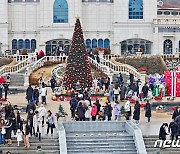 '대형 트리 보러 왔어요'