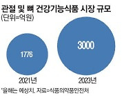 늘어나는 2030 관절염 '뼈건강' 기능식품 인기