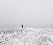 지리산 바래봉에 쌓인 흰눈