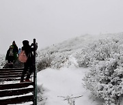 눈 쌓인 지리산 바래봉