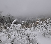 흰눈 쌓인 지리산 바래봉