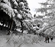 지리산 바래봉 등산로