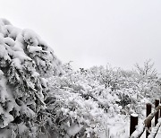 눈 덮인 지리산 바래봉