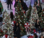 트리와 함께 남기는 기념사진