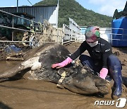 "태풍 예측시간 2배 빠르게…'한반도 종단'에도 인명피해 막았다"