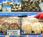 외교부 "日 가리비 수입 확대? 아직 요청해온 것 없어"