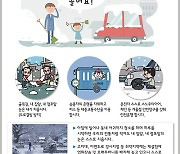 수원시 "내 집·내 점포 앞 눈 제설에 동참해달라"