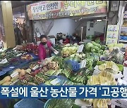 한파와 폭설에 울산 농산물 가격 ‘고공행진’