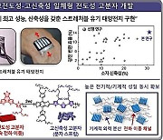 KAIST, 신축성·전기적 성능 모두 갖춘 태양전지 개발