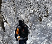 포천 국망봉서 홀로 캠핑하러 갔다 실종된 40대 숨진 채 발견