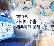 中 퇴짜맞은 日 가리비 한국으로?..."41억 엔 판매 목표" [앵커리포트]