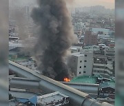 [3보] 대구 팔달시장 불 2시간 만에 완진···"배전반에서 불 시작"