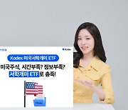 새해엔 나도 `서학개미`… 삼성자산운용 `KODEX 미국 서학개미 ETF`