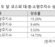 산타랠리 소외된 중소형주...증권가는 "중소형 비중 늘려라"