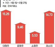 산타랠리 소외된 중소형주… 내년 1월 '반등의 시간' 오나