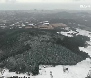 [하늘에서 본 제주] 옛 노루사냥터 ‘제주 노루손이오름’