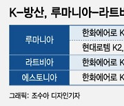 폴란드 변수에…K-방산, 러 인접 '루·라·에' 3국 주목