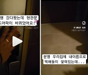 여행 다녀오니 현관문 도어락 바뀌어…용의자 "로맨스스캠에 당했다"