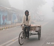 짙은 새벽안개 낀 프라야그라즈 거리