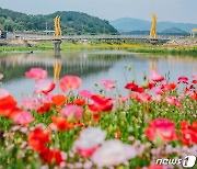 순천동천·장성 황룡강, 국가하천 승격…하천법 제정 후 전남 최초