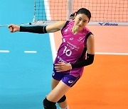 김연경 ‘독무대’ 흥국생명, 정관장 잡고 현대건설 추격…현대캐피탈은 감독 교체 후 2연승