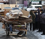 폐지 줍는 노인 4만2000명, 한 달에 얼마나 벌까