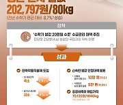 올해 수확기 쌀값 20만원 넘어서…농식품부 “1년 전보다 8.7% 상승”