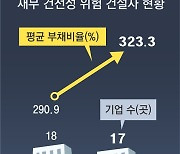 중대형 건설사 55곳 중 17곳 ‘재무 위험’… 평균 부채비율 323%