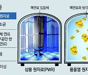 ‘액체소금’으로 원자로 냉각… 안전성 높아 美-中 등서 개발 경쟁[딥다이브]