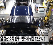 11월 산업 생산 소폭 반등‥반도체 생산 12.8% ↑