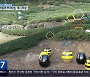 [경남 주말&문화] 하동 겨울 차밭에서 펼쳐지는 ‘대지 예술제’