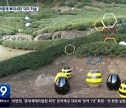 [경남 주말&문화] 하동 겨울 차밭에서 펼쳐지는 ‘대지 예술제’