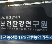 울산 경매 전 농산물 1.6% 잔류농약 기준 초과