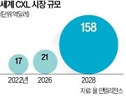 AI 시대 급부상 'CXL 메모리'…삼성, 차세대 반도체 선점 발판