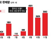 "2000만원 싸요" 중국산 앞세워 '가격 공세'…테슬라 날아올랐다