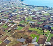 제주도, 농업·축산·식품 분야 2115억원 투입