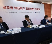 "안되는 것 빼고 다 허용"…글로벌 혁신특구 선정