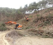 경북도, 내년 숲가꾸기 희망 산주 신청하세요!