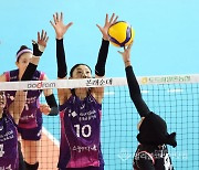 '김연경 블로킹 3개' 흥국생명, 정관장에 3-0 완승