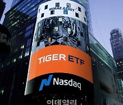 올해 개미픽 ETF 브랜드 1위 타이거…에이스 2위·쏠 3위