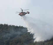 전남 곡성군 겸면 야산서 불…1시간여 만에 진화