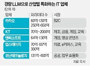 토종 AI, 경량 LLM으로 빅테크에 반격