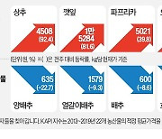 한파·송년회…천정부지 치솟는 농산물값