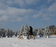 내일 새벽 눈 예보···빙판길 주의