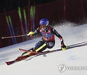 Austria Alpine Skiing World Cup