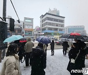 "어제 떠날 걸" 폭설 막혀 동해안 일출 취소…강원 눈길사고 23건 (종합)