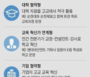 반도체高·K팝高… 내년 50곳 문연다