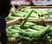 연말 잦은 술자리..숙취 해소에 '라면'보단 '이 음식' 좋다