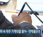 고금리 여파 속 제주 가계대출 줄어…연체율은 ↑