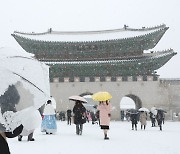 '서울 12cm' 42년 만에 최대 적설…도로 곳곳 사고·정체도 [종합]